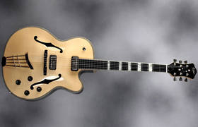 Höfner New President Limited Edition Guitar