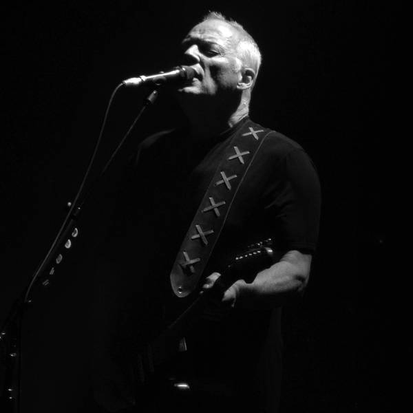 David Gilmour