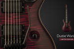 PRS Dustie Waring Limited Edition ‘Floyd’ Custom 24